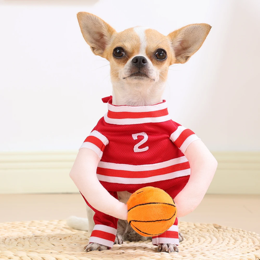 Pawball