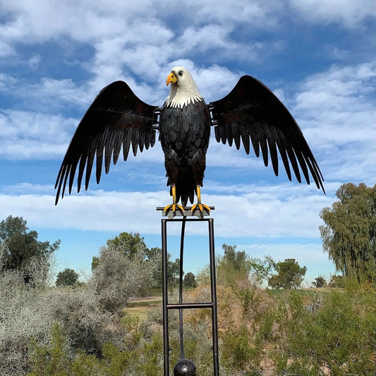 EagleRise