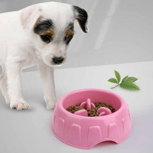 PawSavor