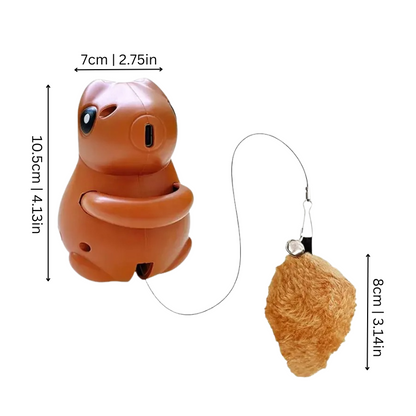 SquirrelWhirl