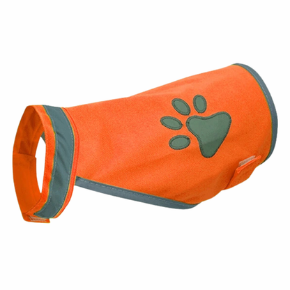 PawGlint