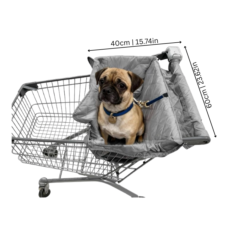 SafePaws