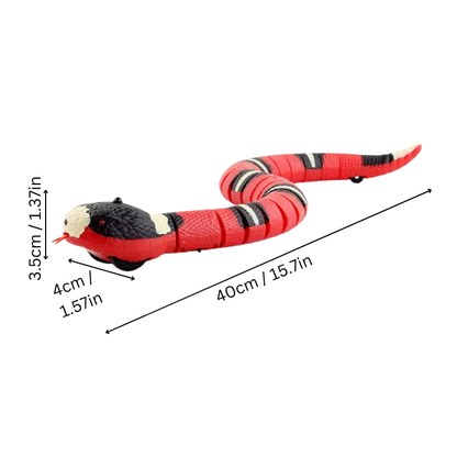 SlinkiSnake