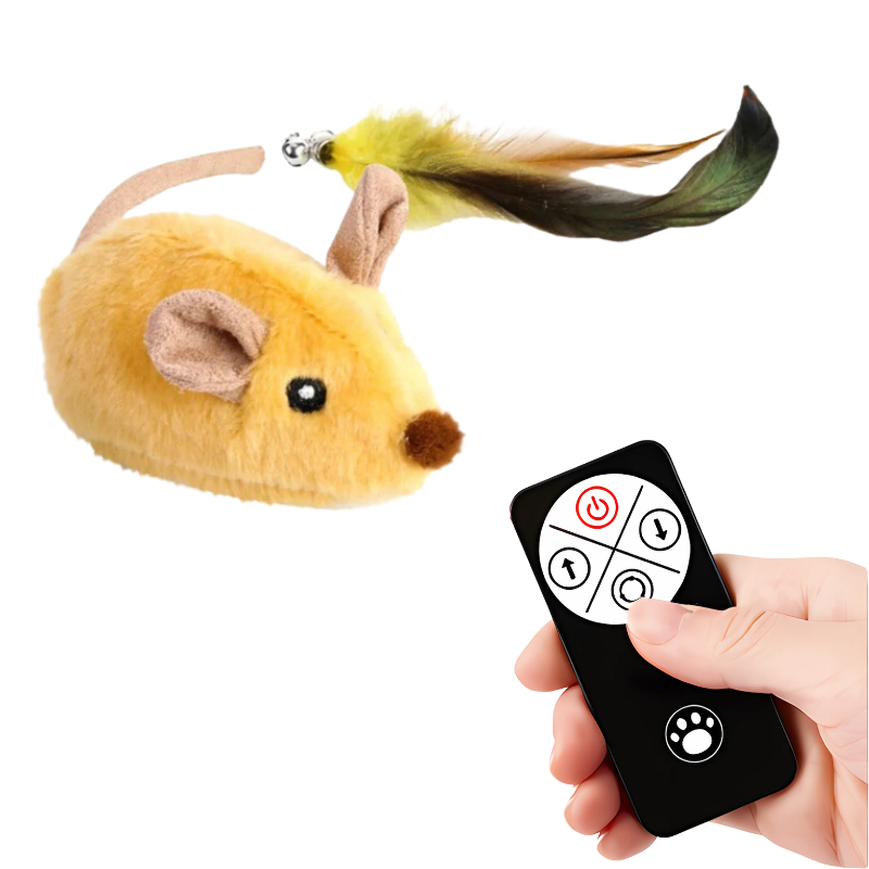 MouseDash