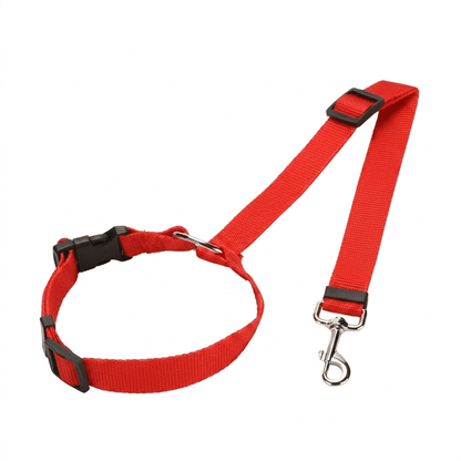 PetBuckle