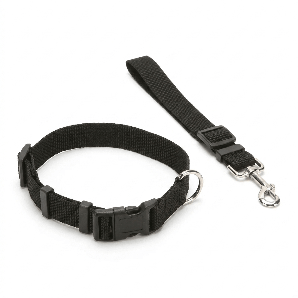 PetBuckle
