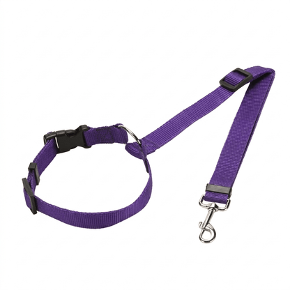 PetBuckle