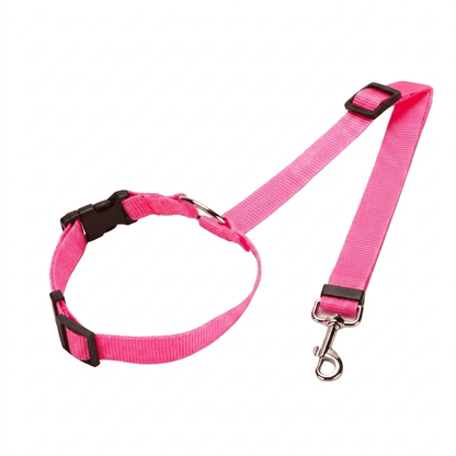 PetBuckle