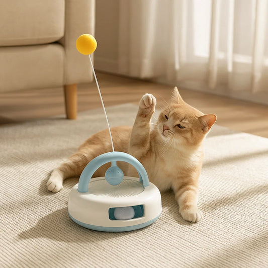 CurioCat