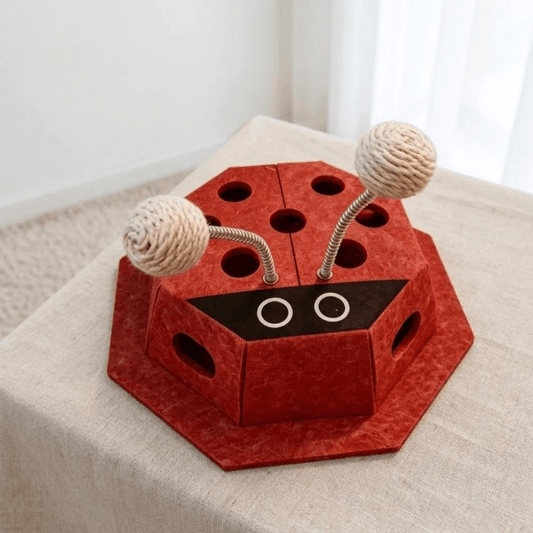 FelineFunBox