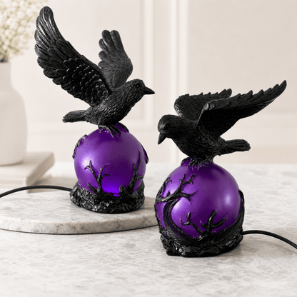 CrowGlimmer
