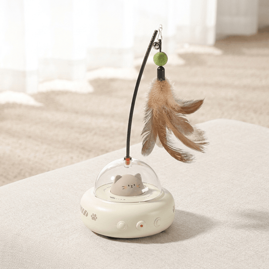 PurrWhirl