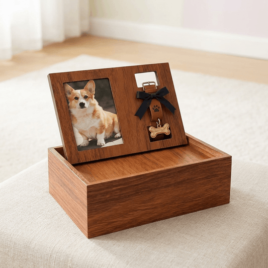 PawMemoryBox