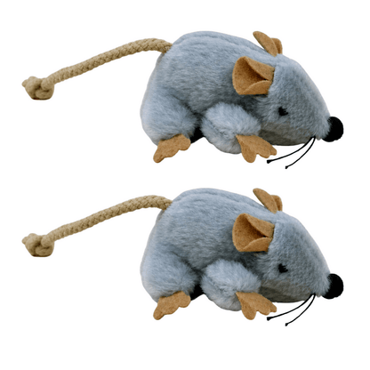 ChaseSqueak