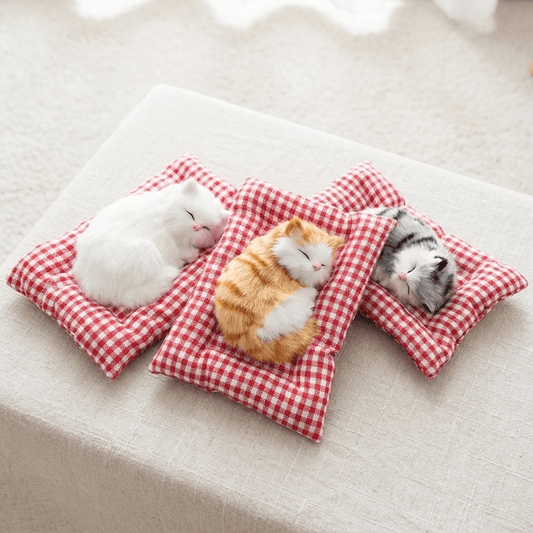 PlushHaven